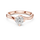 Infinity Rings