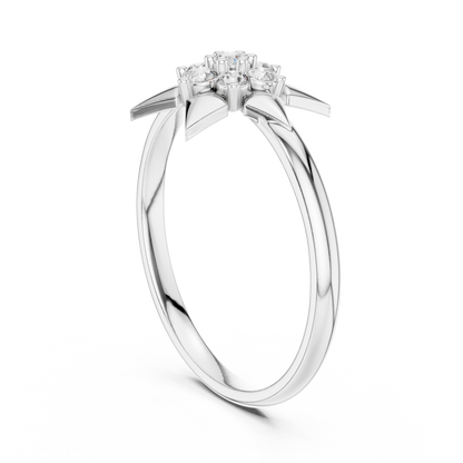 The Noble Lux Ascension - Imperial Glory Consortium - Highborn Legacy Vault - The Majestic Prestige Circle